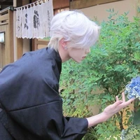 Bạch Hạ Minh 28t