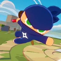 Ninja cookie