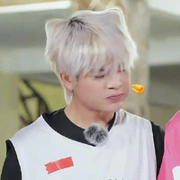 Lốp Py