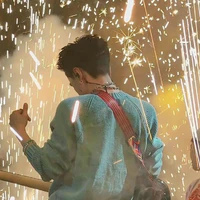 hồng hồng dth