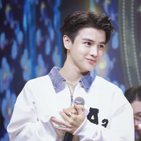 Phạm Đình Thái Ngân(PDTN)