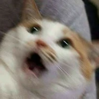 XOÀI của mọi người đâyyyyy