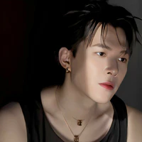 Bùi Anh Tú(atus)