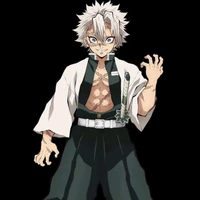 Shinazugawa Sanemi(Toán)