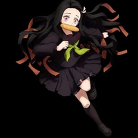 Kamado Nezuko(học sinh)