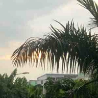 Bảo khang