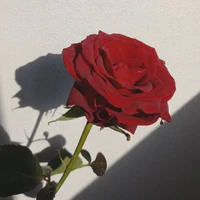NÝ><