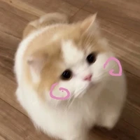 hệ thống 😼