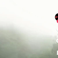T/g