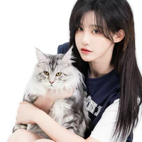 Vương hiểu giai