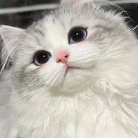 Nhị Nguyệt_Tiểu Bạch