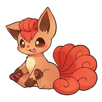 Rokon | Blaze