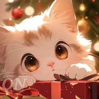 Suri