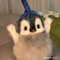 t/g