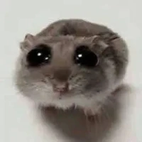 t/g