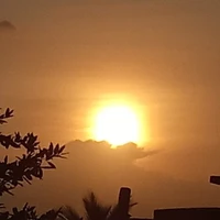 những người đang đứng đó