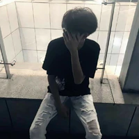 Tô Bảo