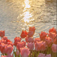 All