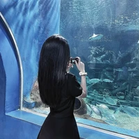 Nguyệt Ánh - Chị 2