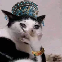 Tác giả
