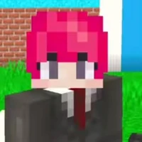 TT hiha