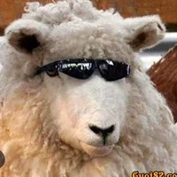 đại ca sữa bột