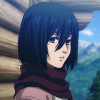 Mikasa