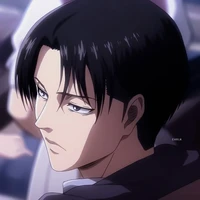 Levi
