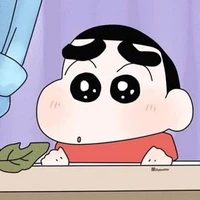 shin