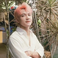 Nguyễn Thái Sơn
