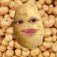 nhỏ này bị ngáo 😽