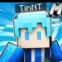 TinNT