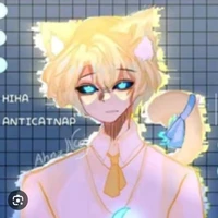 hiha anti catnap