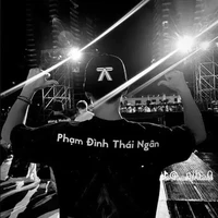 Phạm đình Thái Ngân