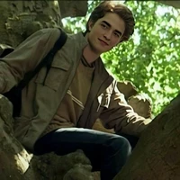 Cedric Digory