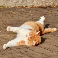 Vương Quốc Hồng