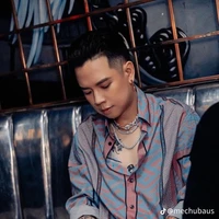 Anh Bâus
