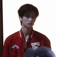 Nghiêm Hạo Tường