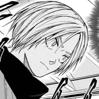 Shin