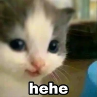 hệ thống có tồng( kimnie)