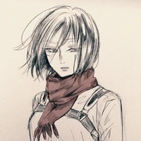 Mikasa ackerman
