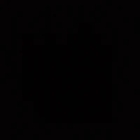NPV (trừ trường hợp) 