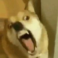 🐕