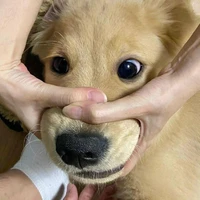 tgia lụy tìnhhh