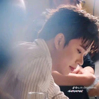 dương domic
