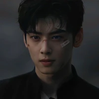 Cha EunWoo