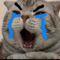 All trừ một số trường hợp 