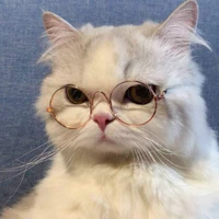 Mèo
