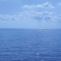 Đa nhâm vật nam