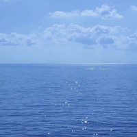 Đa nhâm vật nam